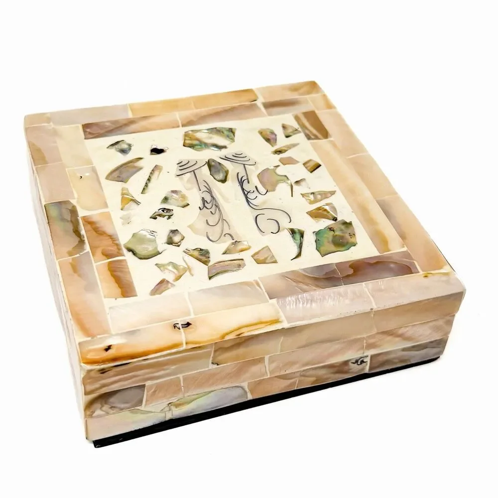 Vintage MCM Set 6 Mother of Pearl Shell Coasters With Matching Box Asian Theme
